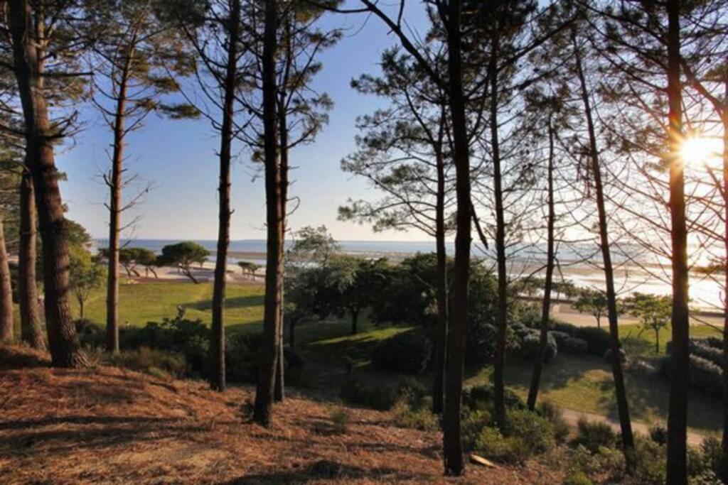 Appart Sur La Plage Pied Dans L Eau Avec Terrasse Jardin Vue Sur Le Bassin Depuis La Terrasse , Parking Arcachon Zewnętrze zdjęcie