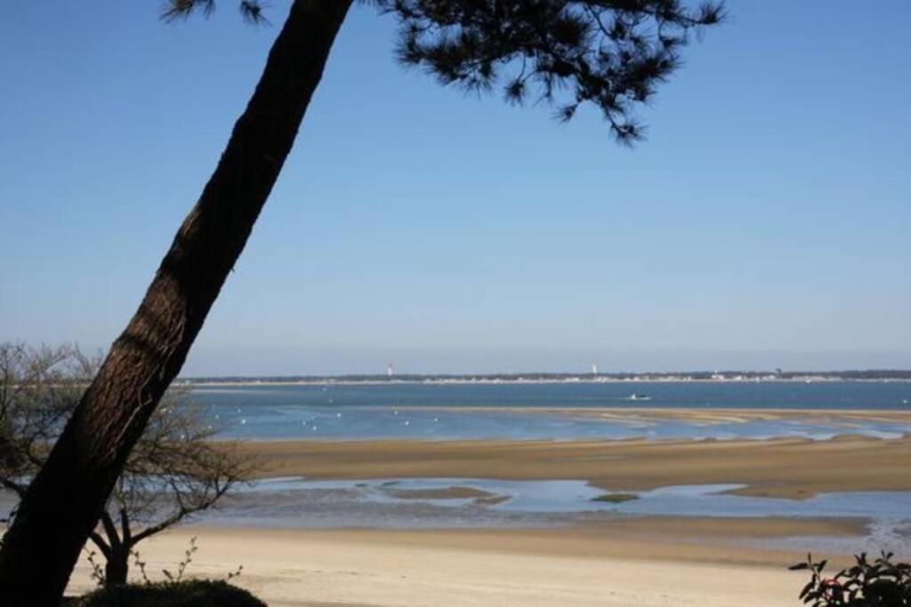Appart Sur La Plage Pied Dans L Eau Avec Terrasse Jardin Vue Sur Le Bassin Depuis La Terrasse , Parking Arcachon Zewnętrze zdjęcie