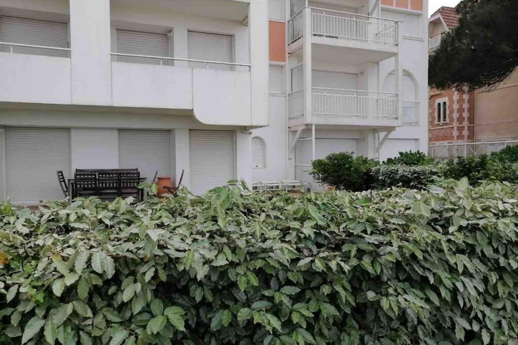 Appart Sur La Plage Pied Dans L Eau Avec Terrasse Jardin Vue Sur Le Bassin Depuis La Terrasse , Parking Arcachon Zewnętrze zdjęcie